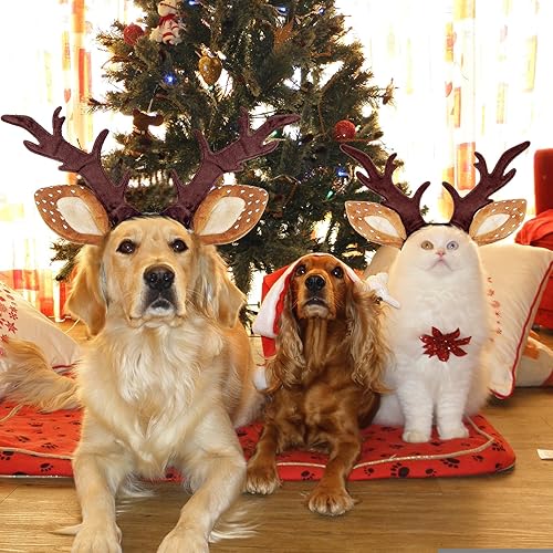Miniatura 4 de KUDES Diadema clásica de cuernos de reno de Navidad para perro y gato, sombrero de alce ajustable para mascotas, ciervos, accesorios de disfraces (S