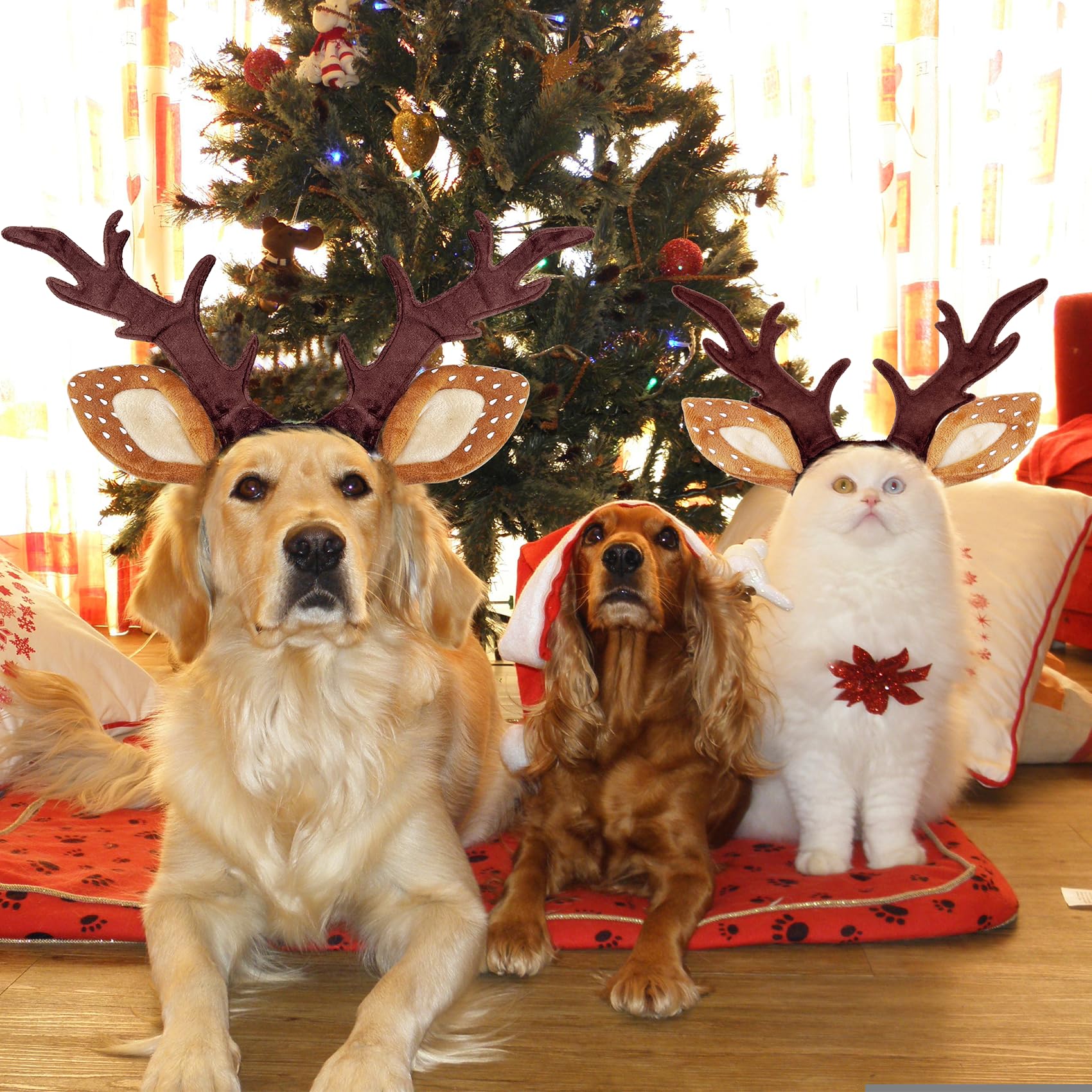 Hunde Weihnachtskostüm KUDES Rentier Stirnband Für Hunde - Weihnachts  Kostüm Größe L Weihnachts Stirnband Haustier, image size:1700x1700