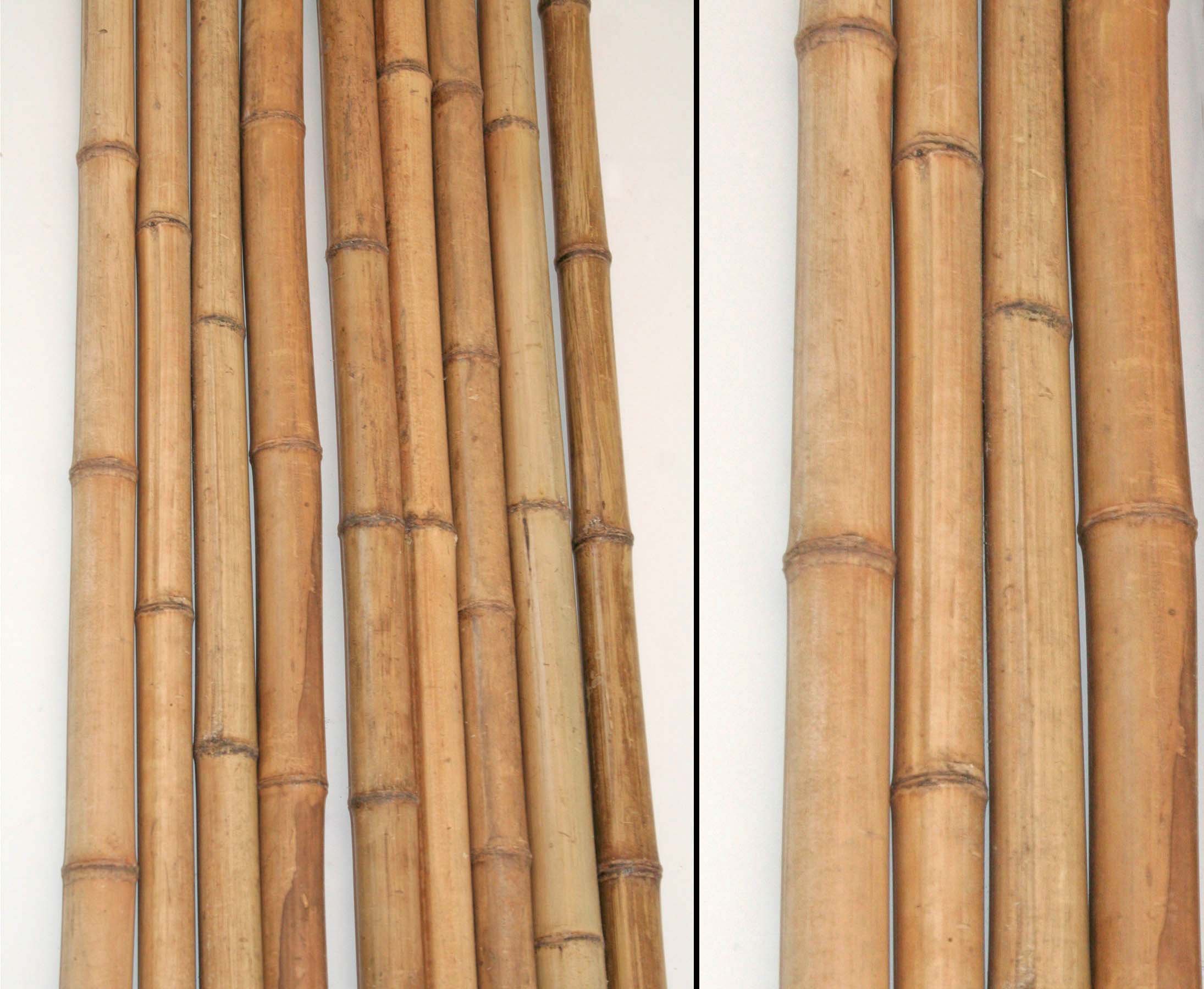 10 Stck Bambusrohre 300cm hitzebehandelt mit 2 bis 3,5cm Durchmesser -  Gedmpfte Bambusstangen 3m lang : Amazon.de: Garten