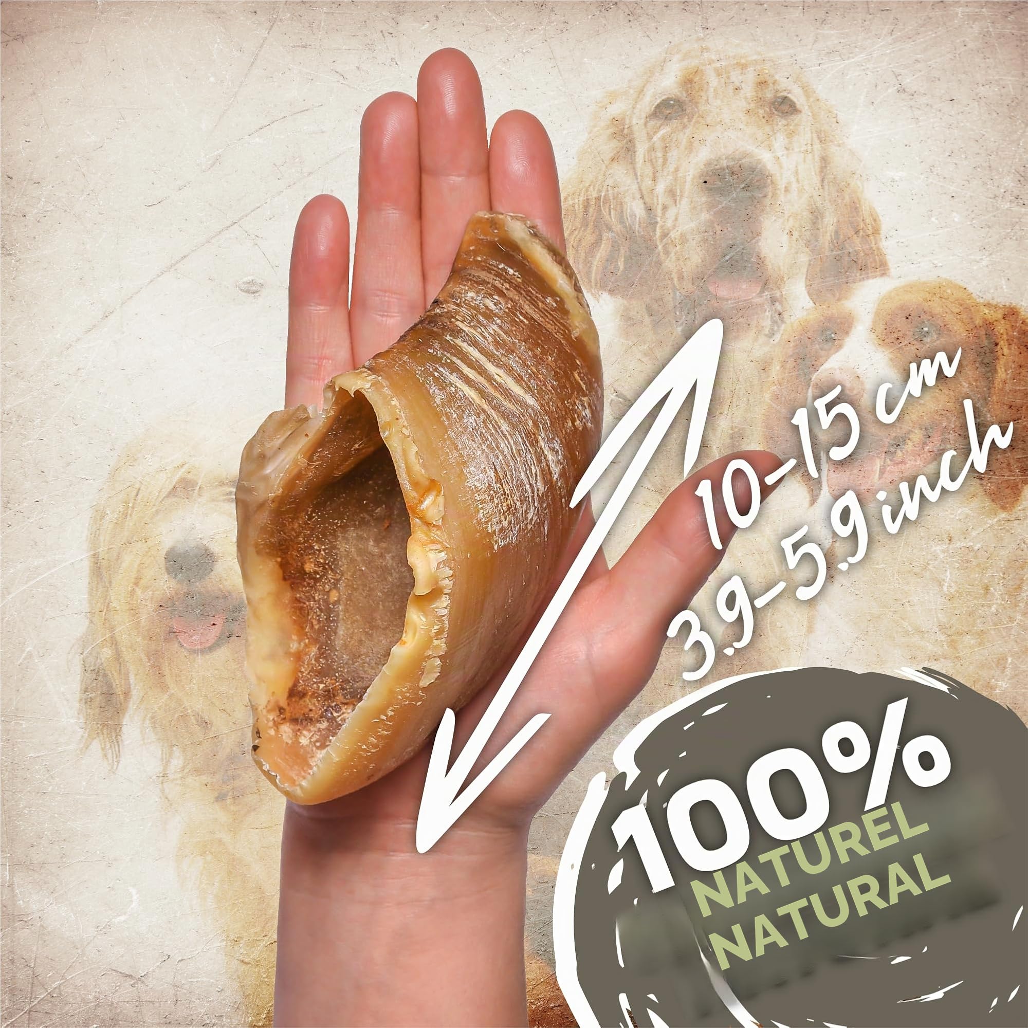 Sabots de bœuf pour Chiens 10 pièces (1kg) | Friandises Naturelles à mâcher | sans additifs ni colorants | Soin Dentaire | Longue durée