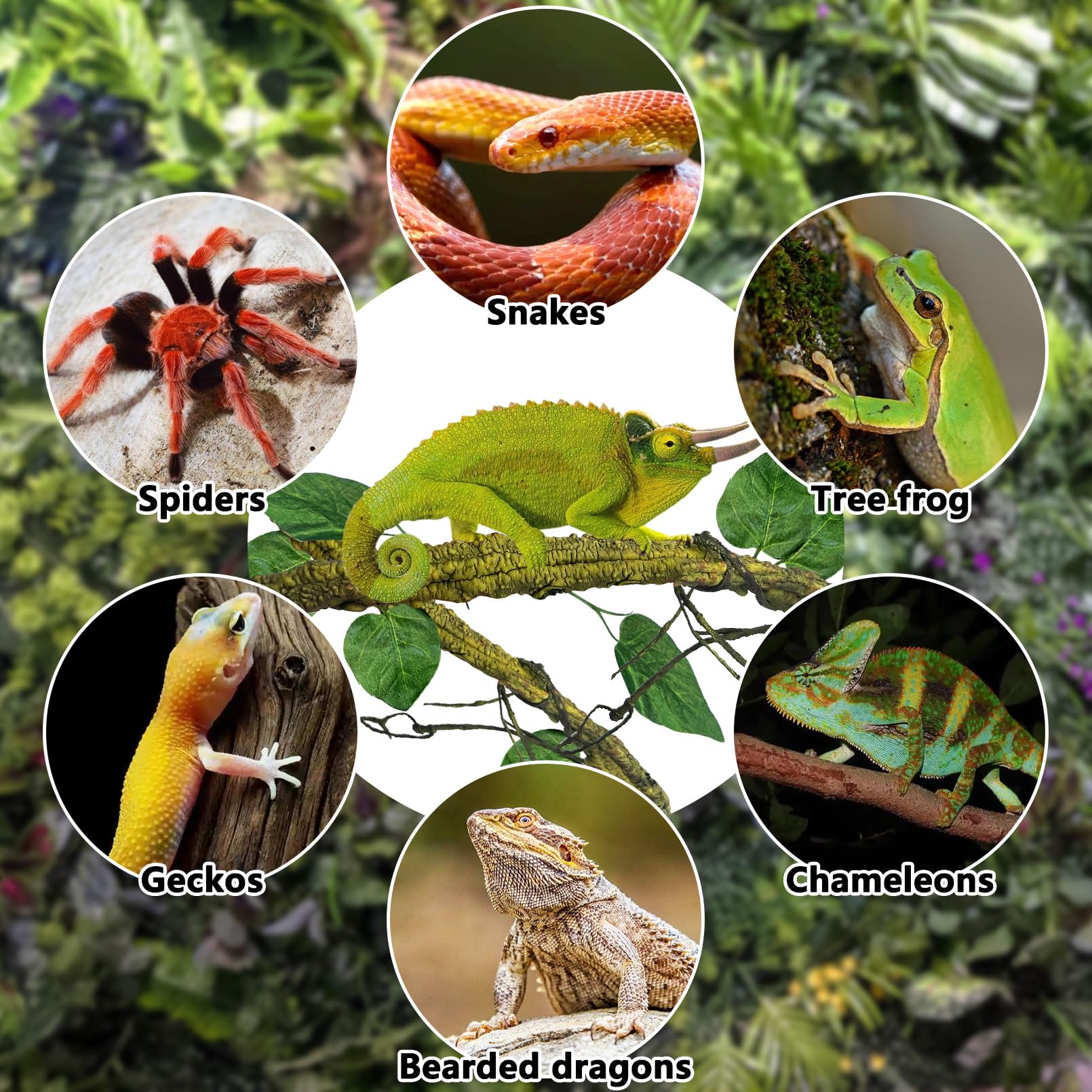 VCEPJH Große Reptilien-Reben, dicke Terrarienpflanzen, 300 cm lang, flexibel, Kletterzweig, Schlangenbecken, Aquarium, Zubehör, Grünpflanzen, Lebensraum, Dekoration für Bartagamäleon, Gecko, Frosch
