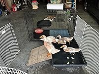 Review Image by Debra Sinatra Debra Sinatra