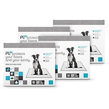 home guard training pads