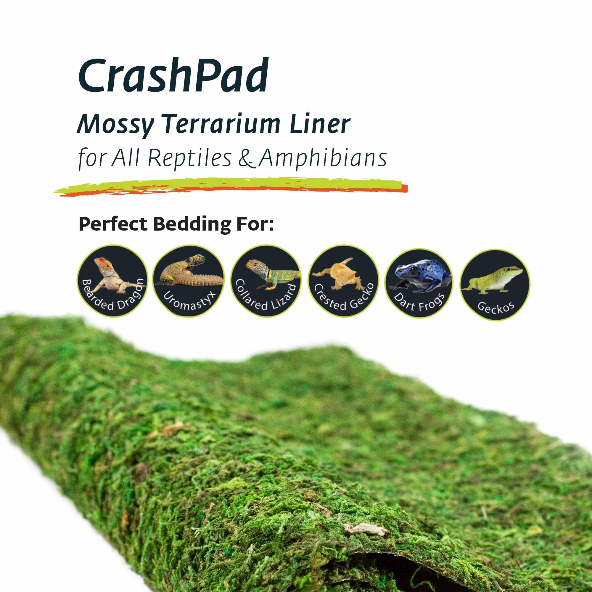 Galápagos (05094) CrashPad, Forro de terrario musgoso, Natural, 18 x 36 Pulgadas