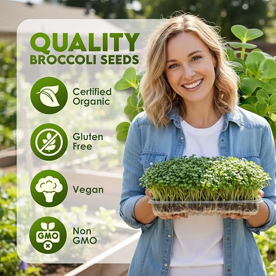 Nature Jim's Organic Broccoli Sprouting Seeds Non-GMO, Rich in Sulforaphane, Fast-Growing Microgreen Seeds for Indoor/Outdoor Planting Ideal Organic Sprouting Seed for Nutritious Gardening - 8oz
