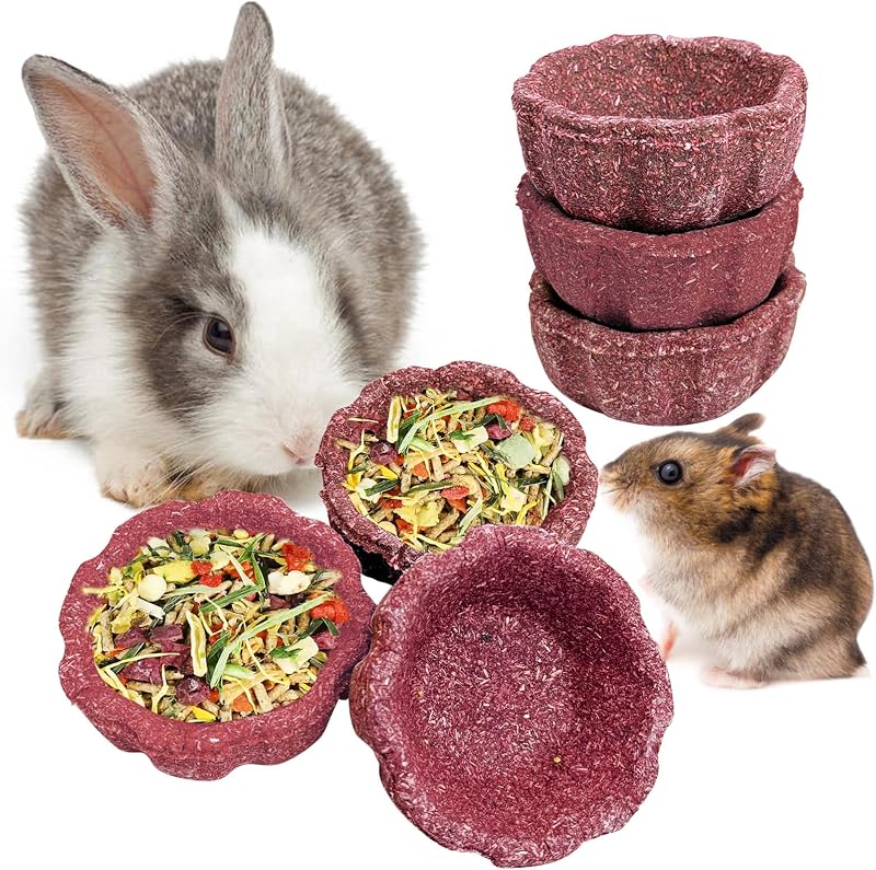 Brinquedo Mastigável para Pequenos Animais com Feno de Timothy, Batata-doce Roxa e Abóbora Apatal — Pacote com 6