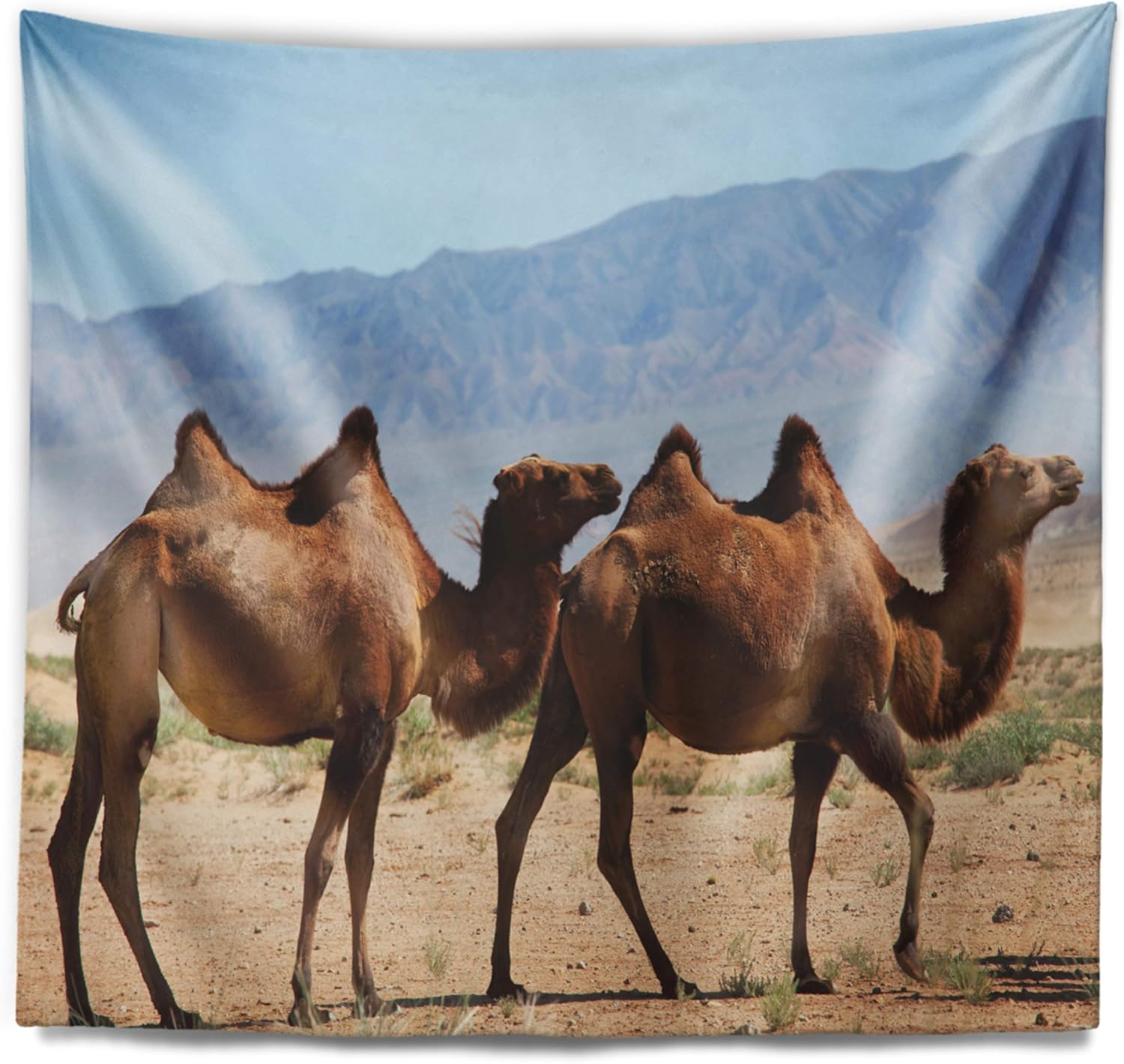 Designart ' Huge Camels on Tomb Ruins' African Tapestry Blanket Décor Wall Art for Home and Office, Created On Lightweight Polyester Fabric Large: 60 in. x 50 in