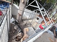 Review Image by Amazon Customer