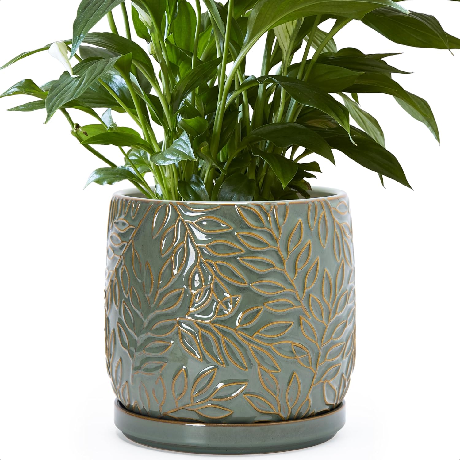 D'vine Dev 8 Inch Embossed Leaves Stoneware Planter Pot with Drainage Hole and Saucer, Olive, 27-A-Q-0
