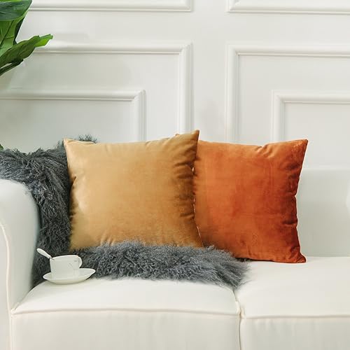 Vista 165 de Home Brilliant Fundas de almohada color verde azulado súper suaves cuadradas de terciopelo azul para sofá, dormitorio de niñas pequeñas, 18 x 18