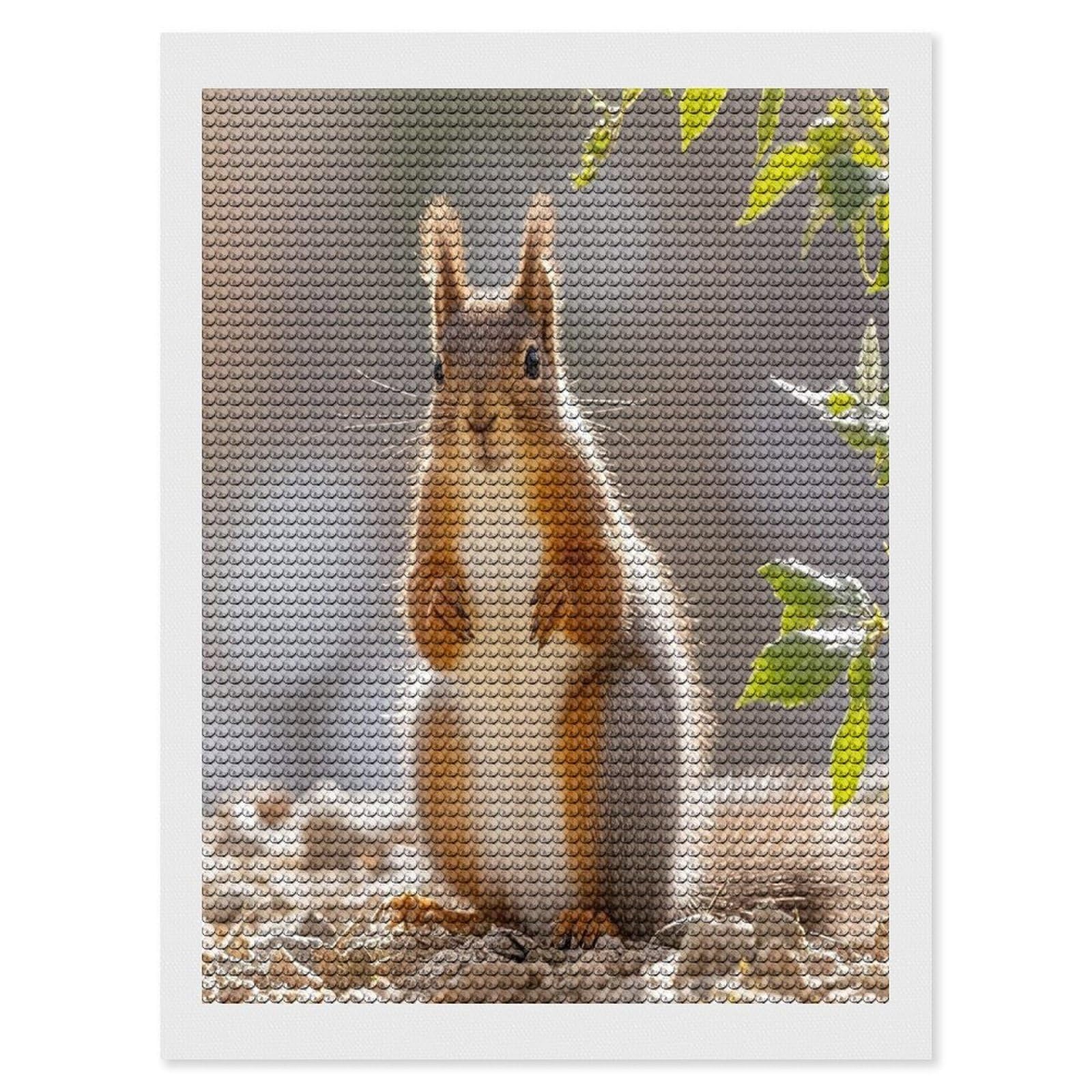 FekiLoot Squirrel Funny Animal Diamond Painting Kits for Adults Round Paint with Diamonds Pictures Gem Art Painting Kits Personalized Diamond Art Full Drill for Beginners Home Wall Decor