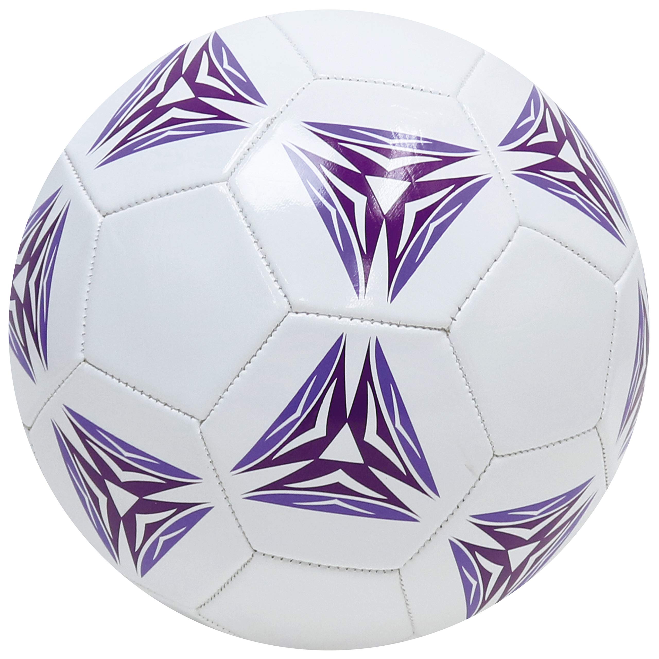 Amazon.co.jp: 池田工業社 サッカーボール 合皮 4号球 000300220
