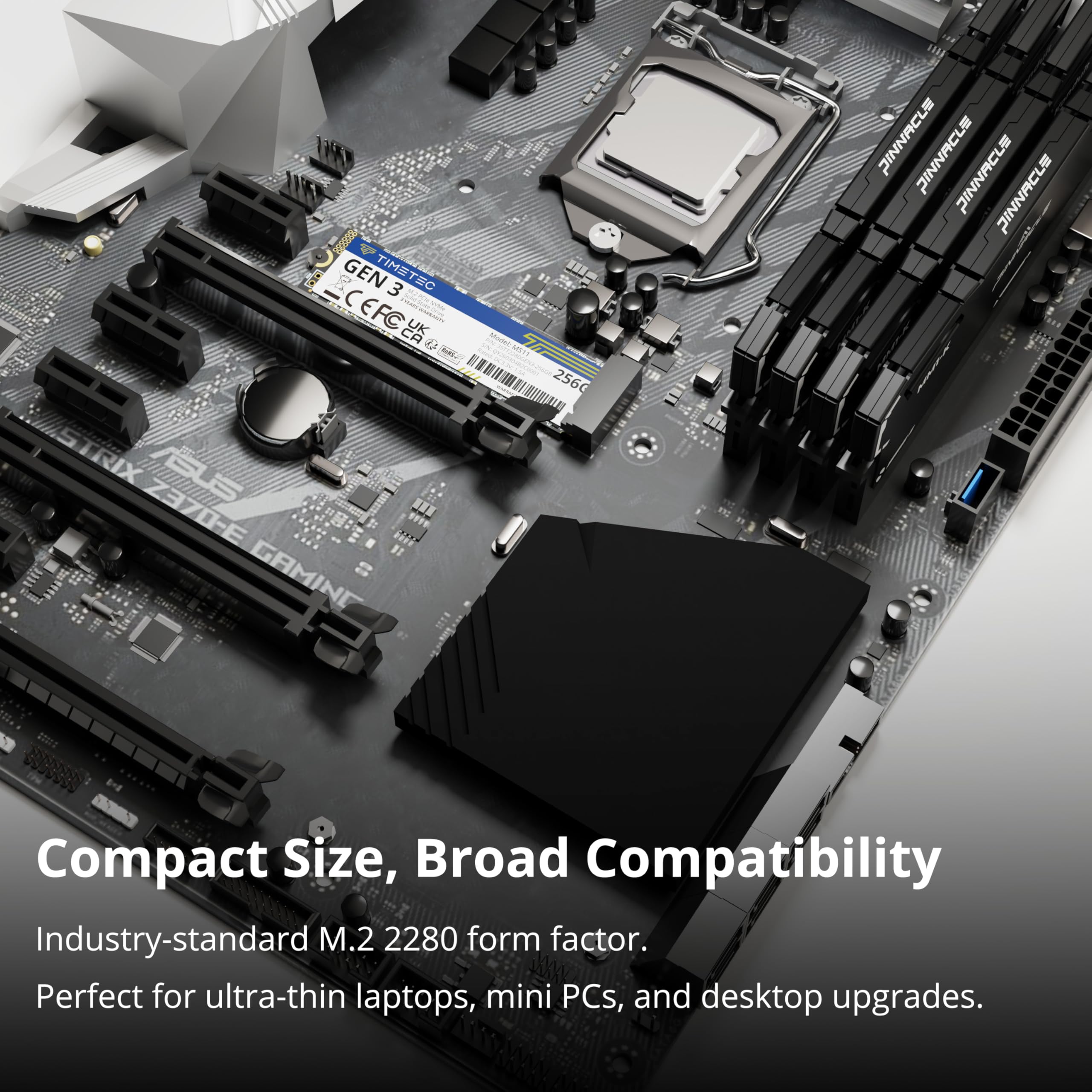 W es te m D i gita NVMe SSD 256GBX10 【公式通販】