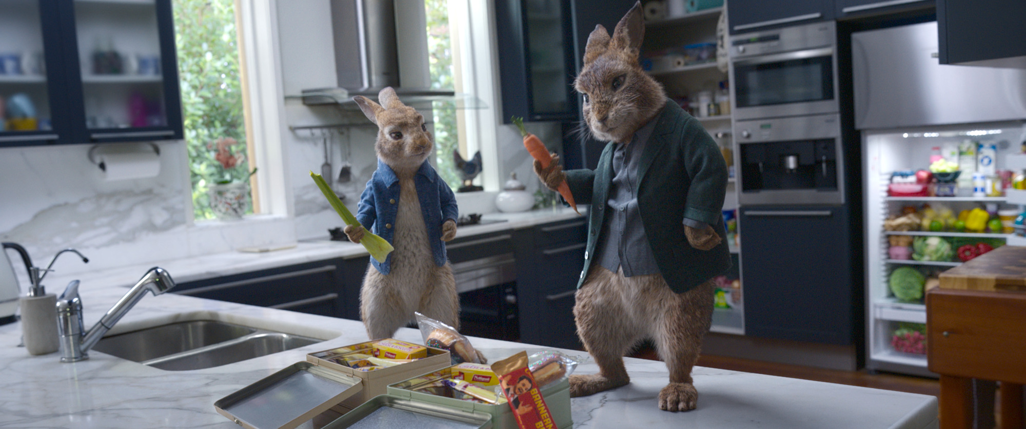 Amazon.com: Peter Rabbit 2 - Blu-ray + DVD + Digital : Rose Byrne
