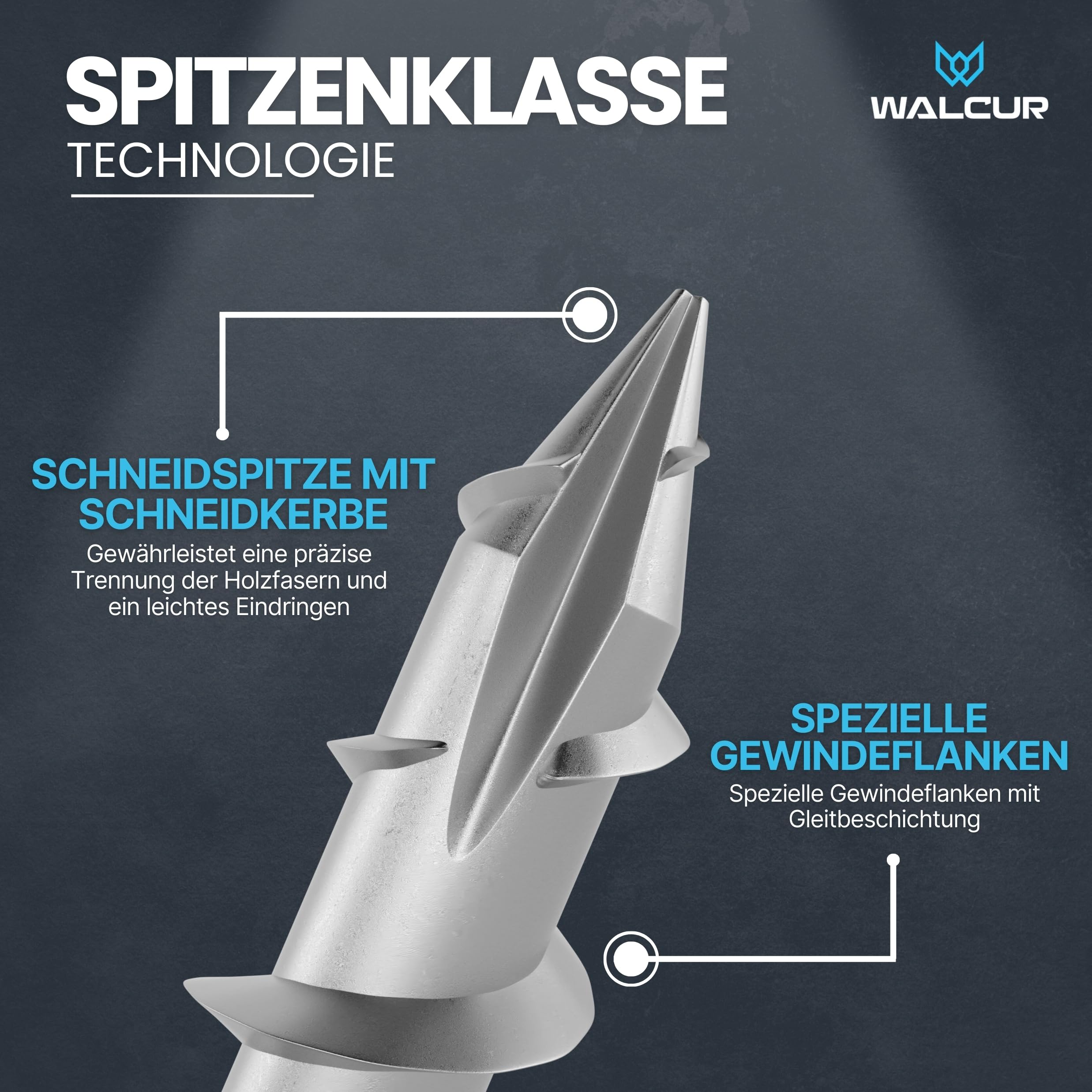 GeZu Impex 1000 Stück Walcur Terassenschrauben 5 x 60 mm Edelstahl Torx + 2 Bits + 1 Bohrer Bohrschrauben Holzschrauben Holzbauschrauben