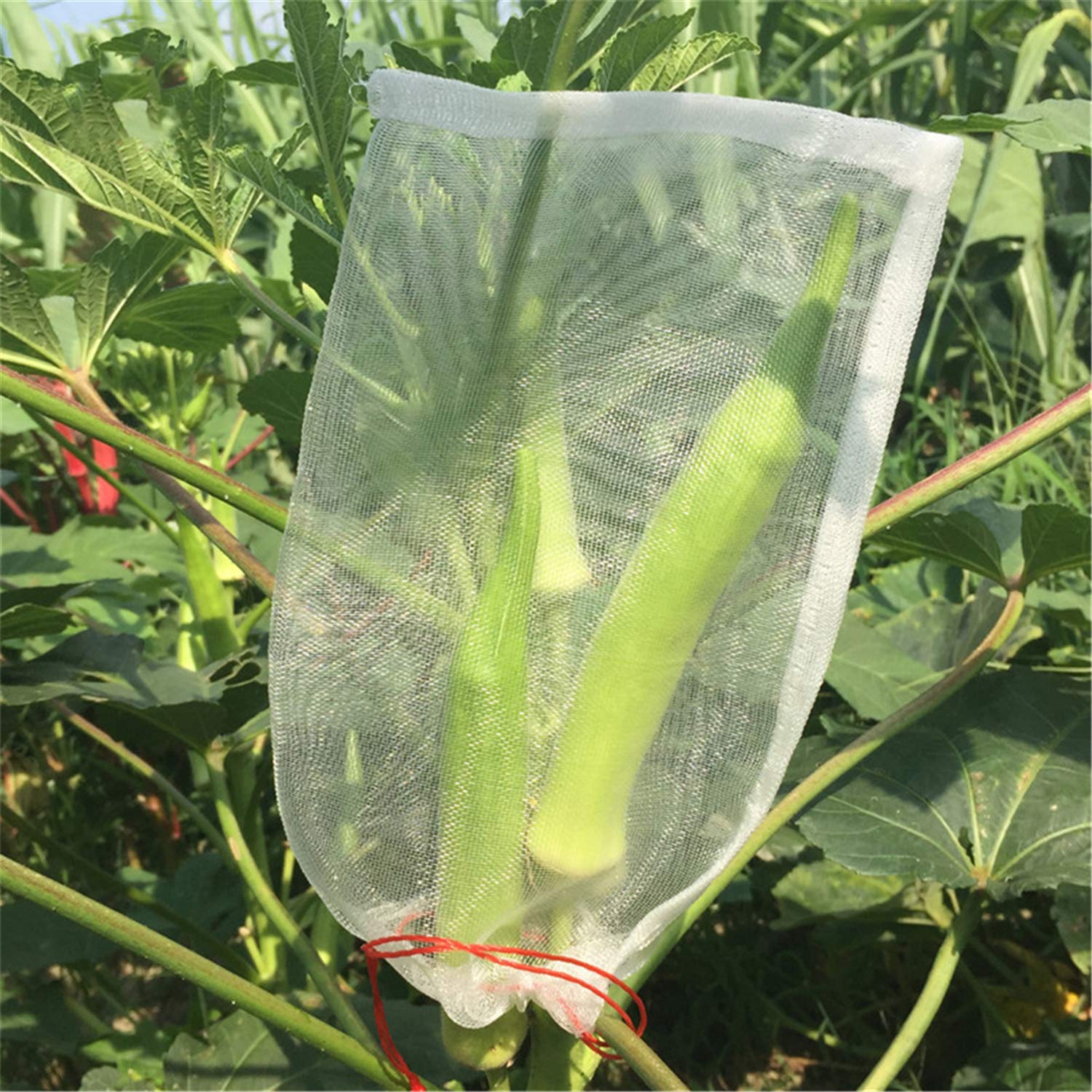 Paquete de 20 bolsas de malla transpirable para plantas de jardín, flores y frutas (21.5 x 14 pulgadas), bolsas duraderas resistentes a plagas y pájaros