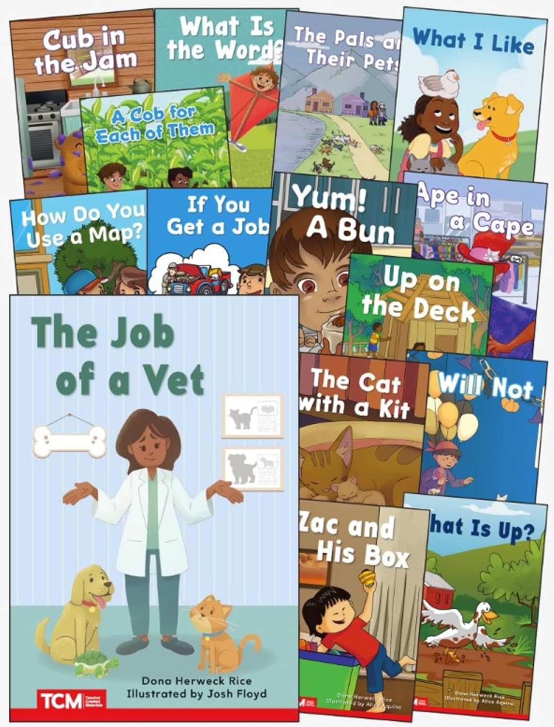 Decodable Books Grade PK-K Set 2: 15-Book Set (Decodable Books: Read & Succeed)