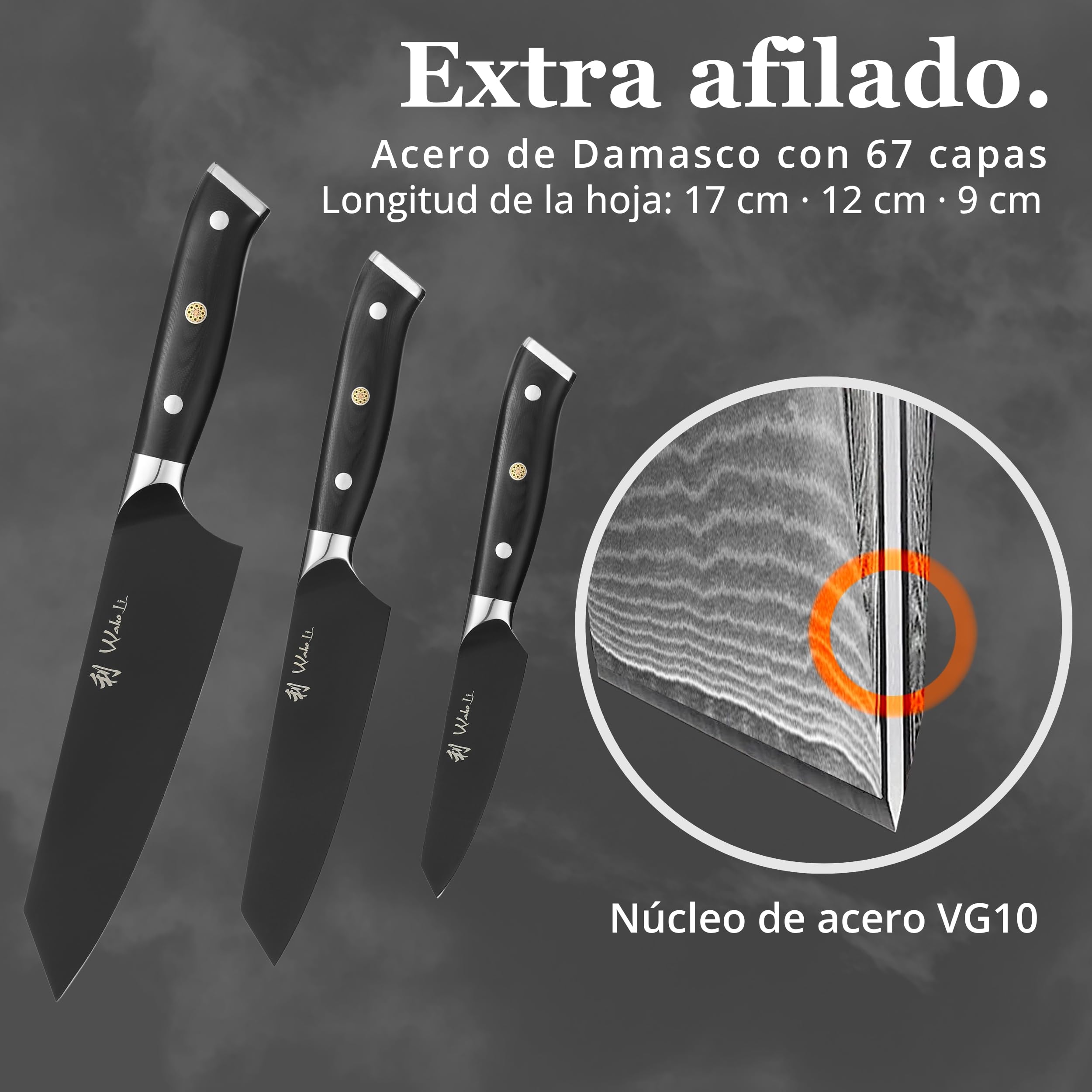 Wakoli Titanium Noir - Juego de cuchillos (3 piezas, acero inoxidable, revestimiento de titanio) | Con Kiritsuke, pequeño Kiritsuke y cuchillo de oficina, mangos G10, 55 ± 1 HRC y doble cara de 15 V en caja de madera