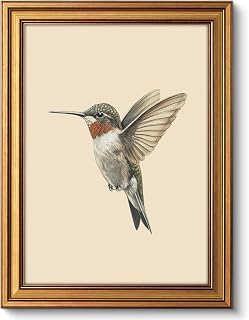 LECYHCYHLE Vintage Hummingbird Framed Wall Art Bird Wall Decor 12×16 In | Vintage Gold Framed Wall Art,Retro Hummingbird Picture,Birds Painting,for Study Library Office Home Decoration