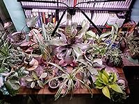 Review Image by Steve Clark Steve Clark