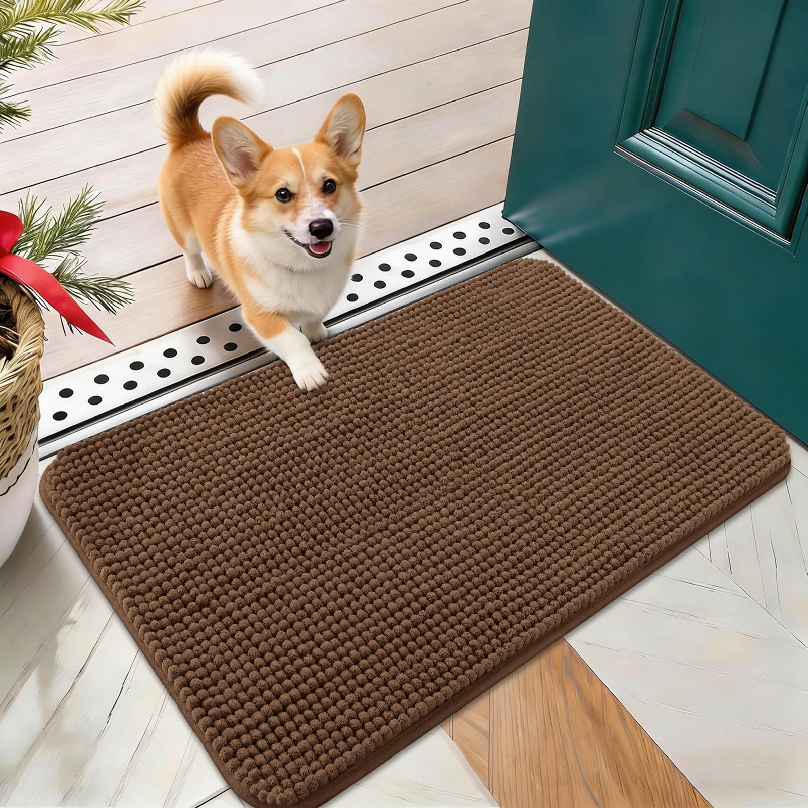 OLANLY Dog Door Mat for Muddy Paws 24x16, Absorbent Chenille Mud Doormat