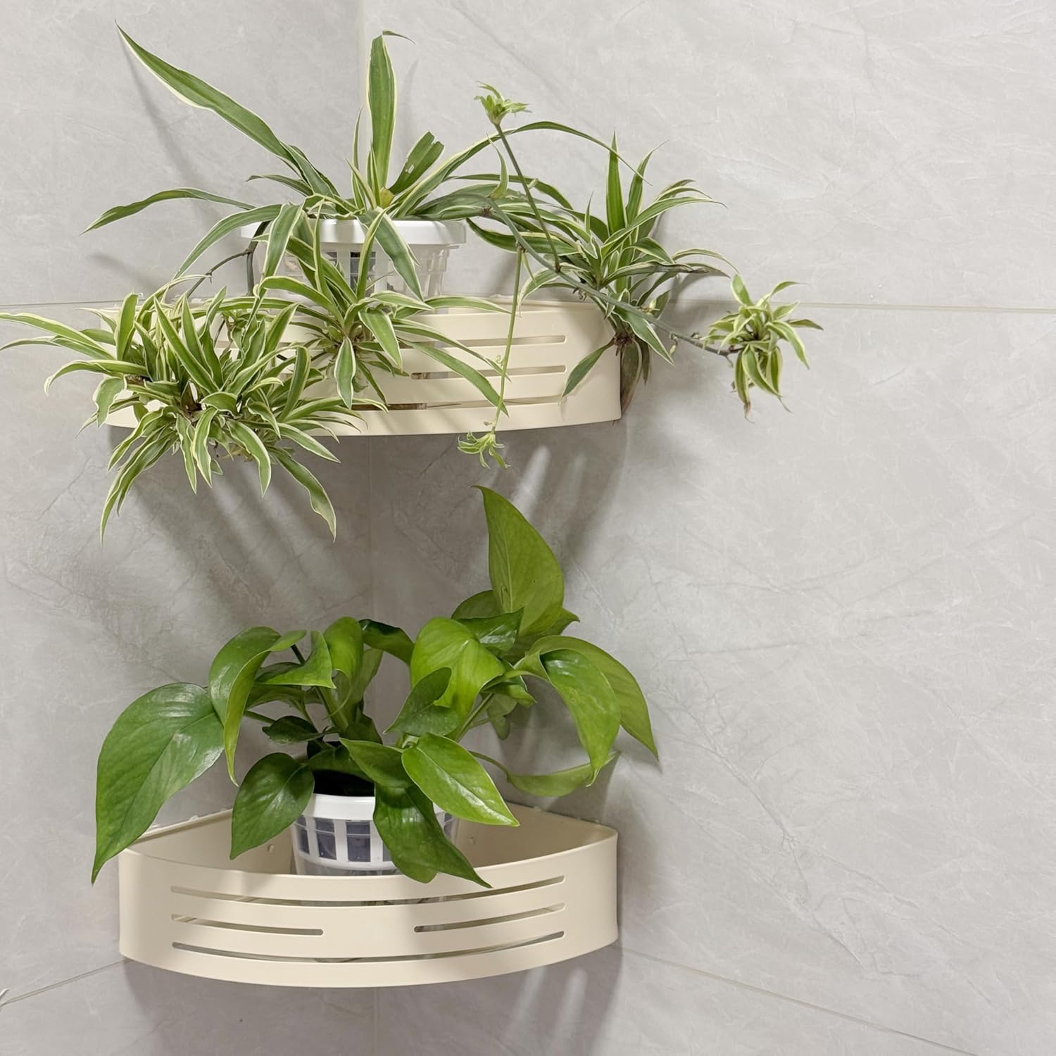 Set of 3 Plastic Window Planter with Suction Cup Holder. Large Window Popagation. Clear Self Watering Window Mounted Plant Pots. Window Sill Planters Extender for Indoor Hydroponic Plants