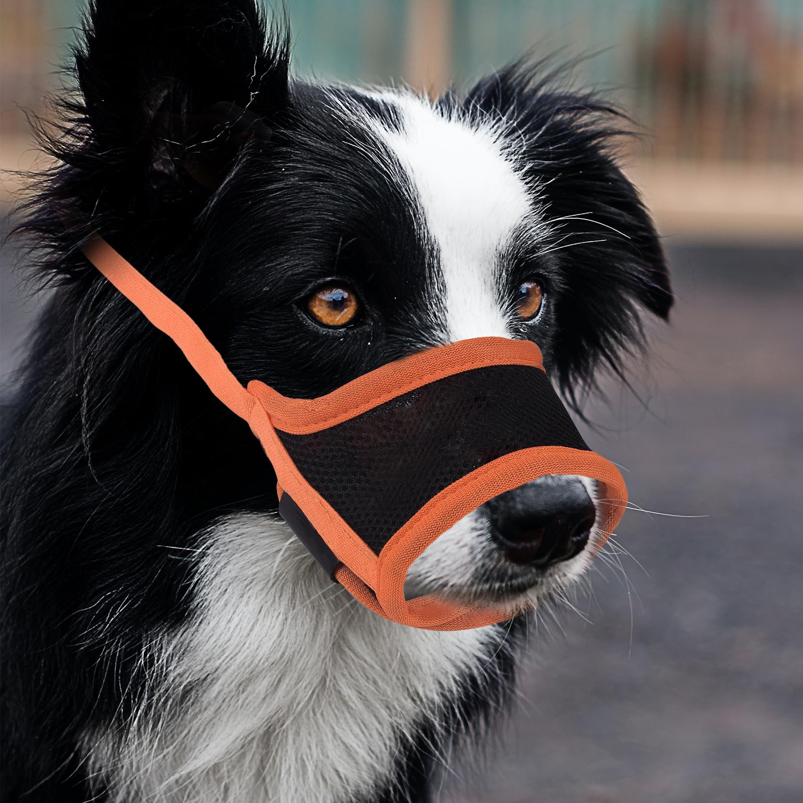 Gas Mask For Dogs Dog Masks For Large Dogs, 3pcs Respirator Face