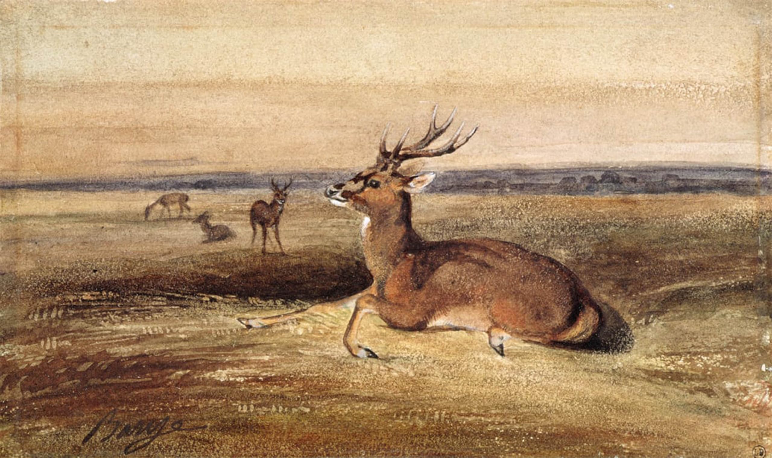 POSTERIIk Famous Modern Artwork Art Mural Resting Deer by Antoine Louis Barye Oil Paintings Pictures for Home Decor 60x90cm