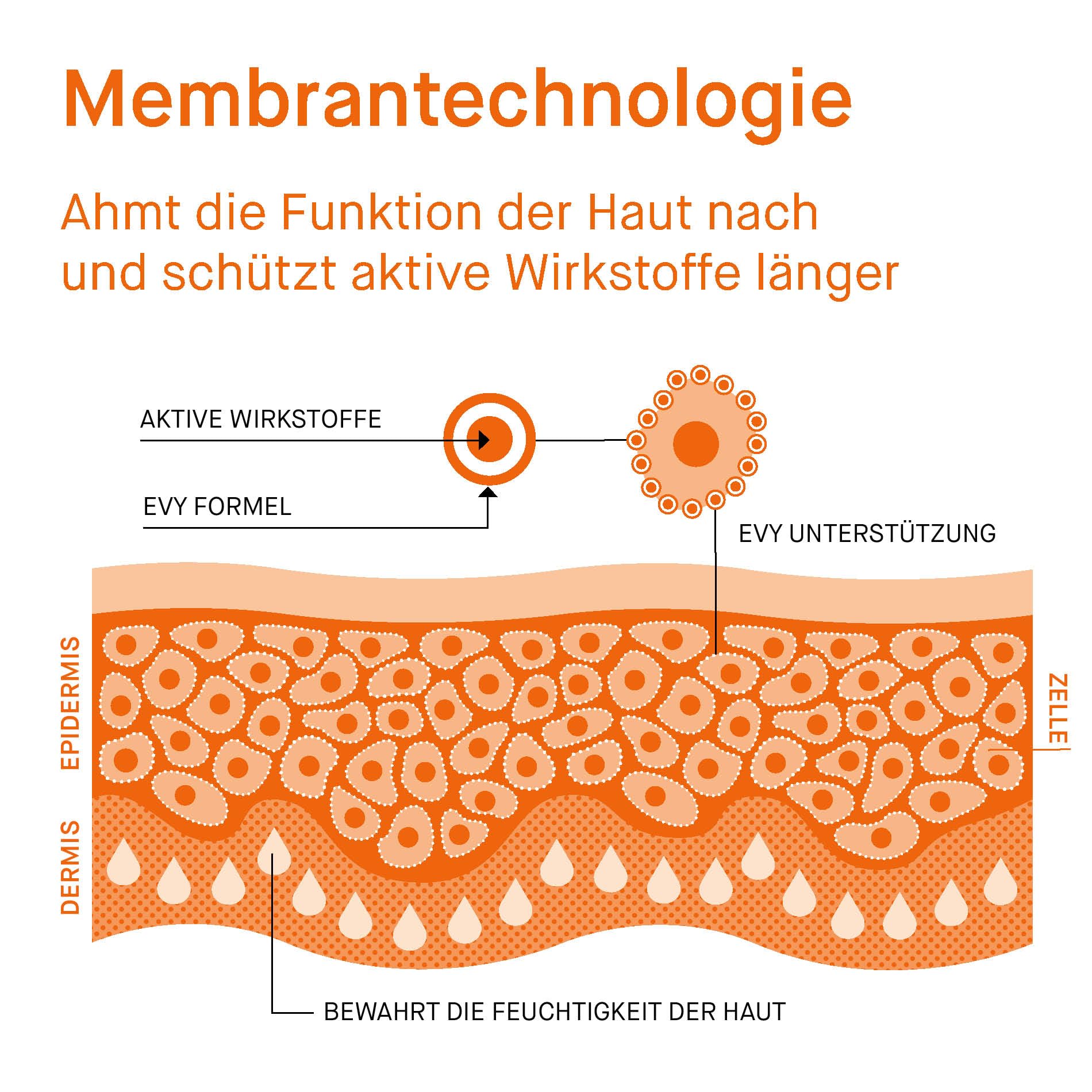 EVY Babies und Kids Sonnencreme Mousse LSF 30 - parfümfrei - schweiß- und wasserfester Sonnenschutz für Kinder ab 6 Monaten
