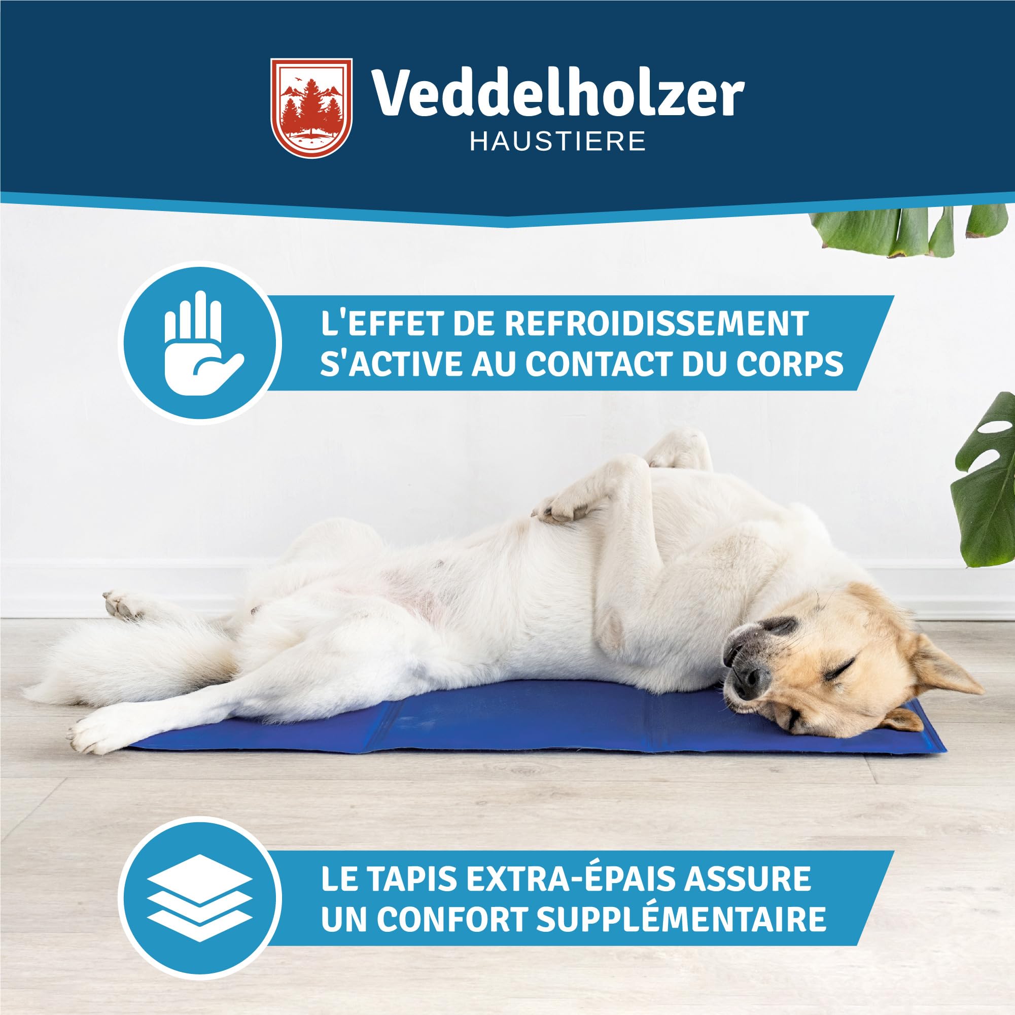 Veddelholzer Tapis rafraîchissant (L) pour Chien Extra épais, résistant aux Rayures, Auto-refroidissant sans électricité, Parfait pour l'été et Les Voyages pour Chiens de Petite, Moyenne et Grande