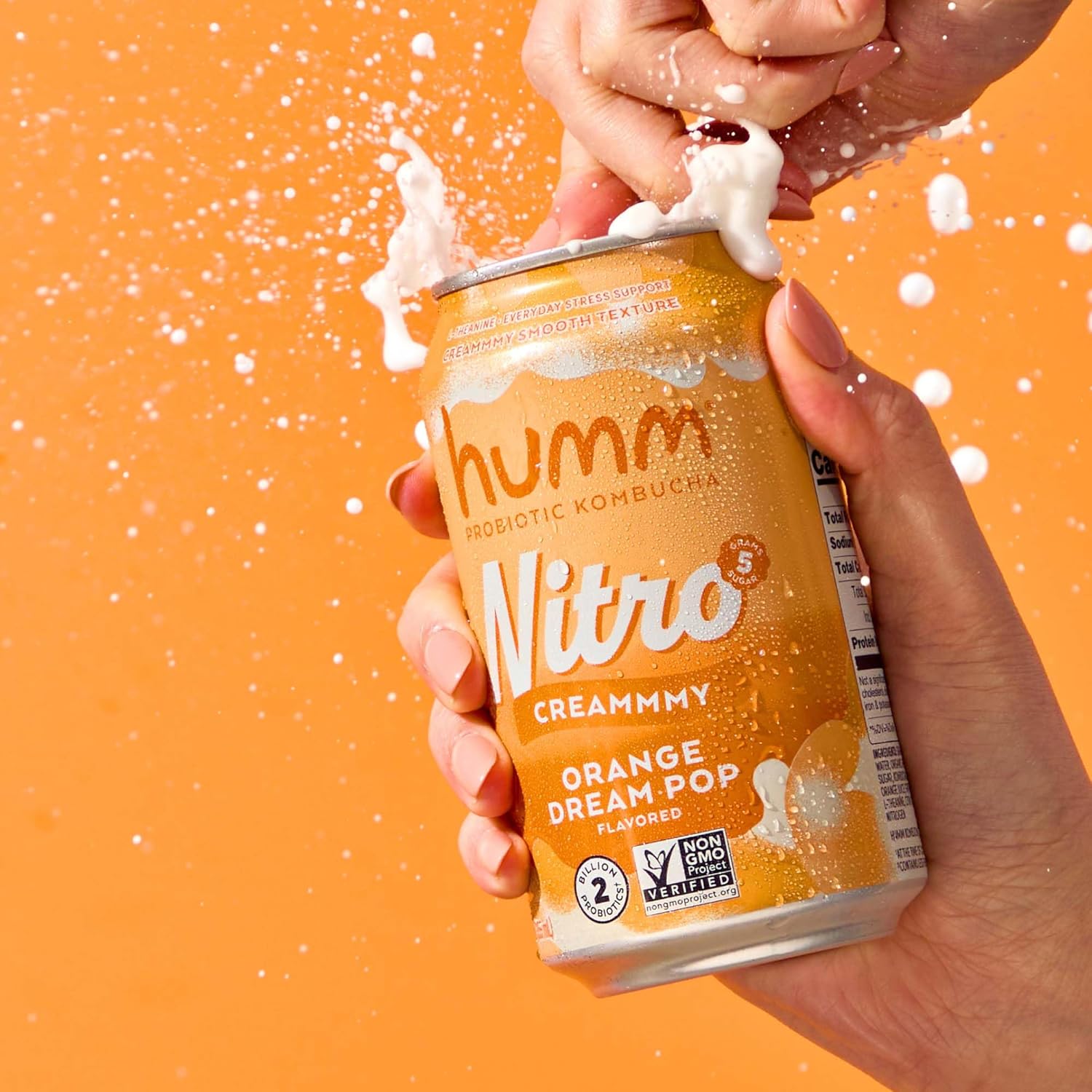 Humm Nitro Kombucha Orange Dream Pop, Creamy Smooth Probiotic Drink with L-Theanine, Non-GMO, Vegan, Gluten Free, 12 fl oz (Pack of 24)