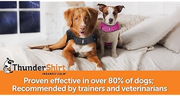 thundershirt harness