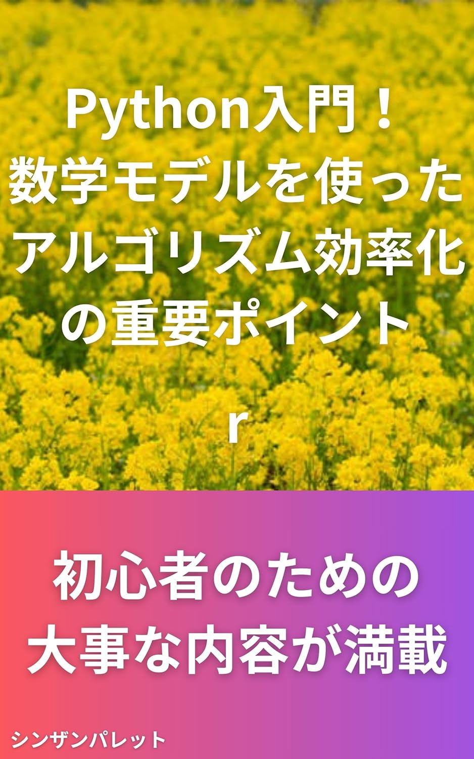 Introduction to Python Key points for improving algorithm efficiency ...