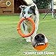 LaRoo Hundespielzeug Hunde Frisbee Hundefitness Ring - Unzerstörbare Flugscheibe Extra Dick - Schwimmendes Hundespielzeug für Outdoor, Training, Sommeraktivitäten für Große Hunde (Orange)