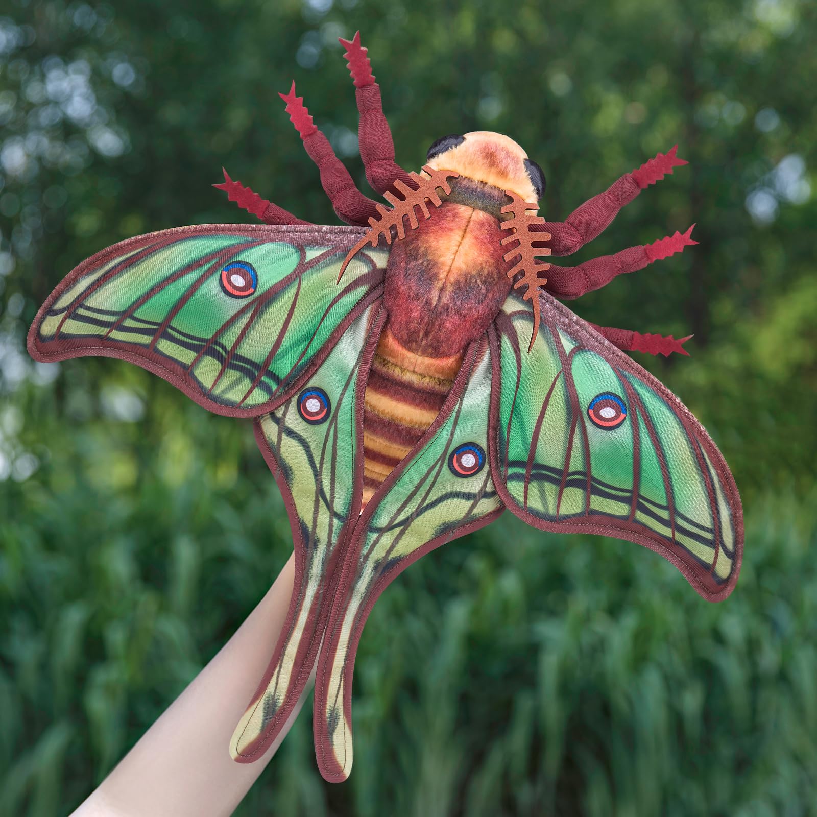 Frankiezhou Home Luna Moth Plush Toy, Lifelike Luna Moth Stuffed Animals 11in, Realistic Soft Big Moth Plushie Model Toy, Unique Plush Gift Collection for Kids