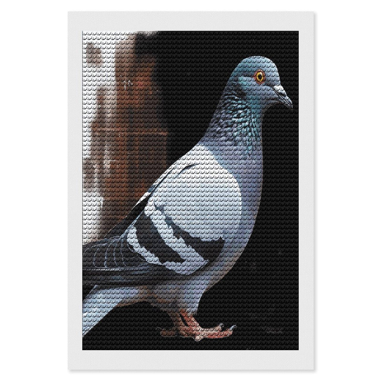 JTREHY Pigeon Diamond Art Kits Personalized DIY Round Diamond Painting Kits for Beginner Full Drill Diamonds Dots Paintings for Adults Gem Art Crafts Home Decor