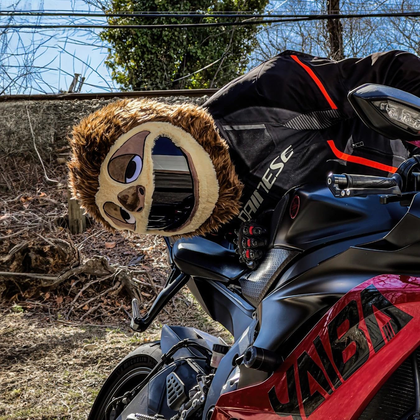 Moto Loot Helmet Cover for Motorcycle Helmet, Fun Rides and Gifts image 4