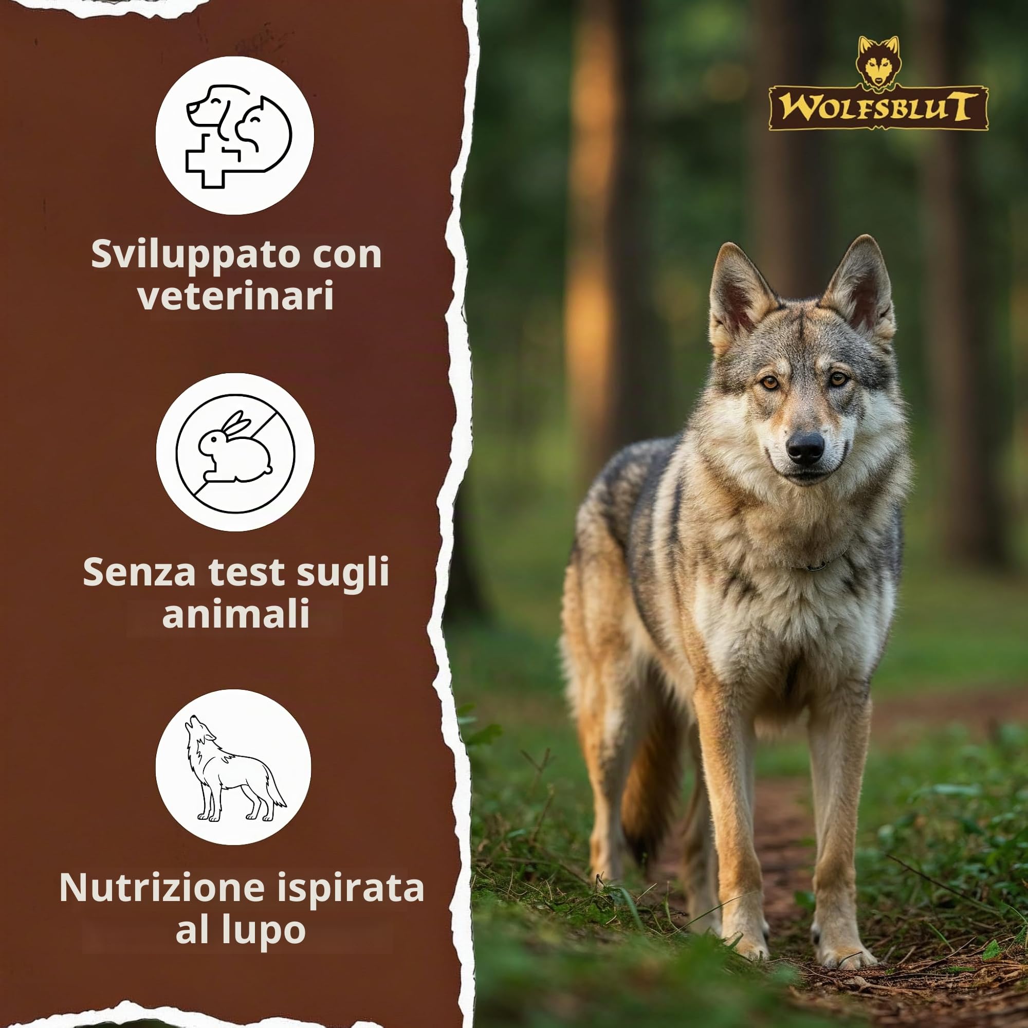 Wolfsblut Wild Duck Adult 12,5 kg