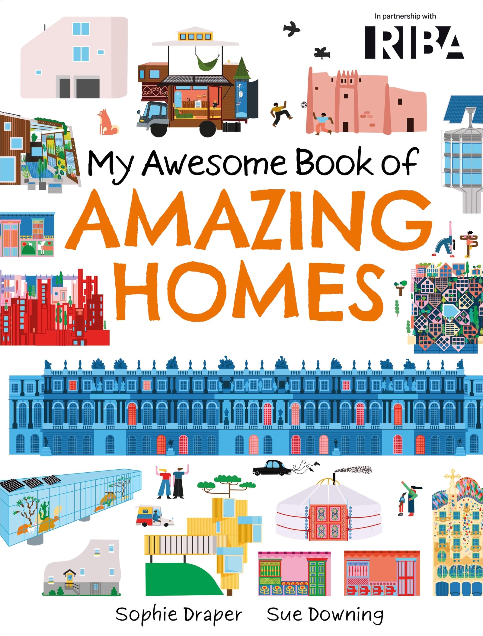 Amazing Homes (My Awesome Book of)