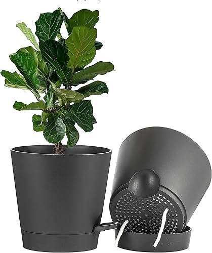 FaithLand Paquete de 2 macetas de 9 pulgadas para plantas de interior y exterior, macetas de riego automático con depósito profundo, color negro disponible en Yaxa Peru