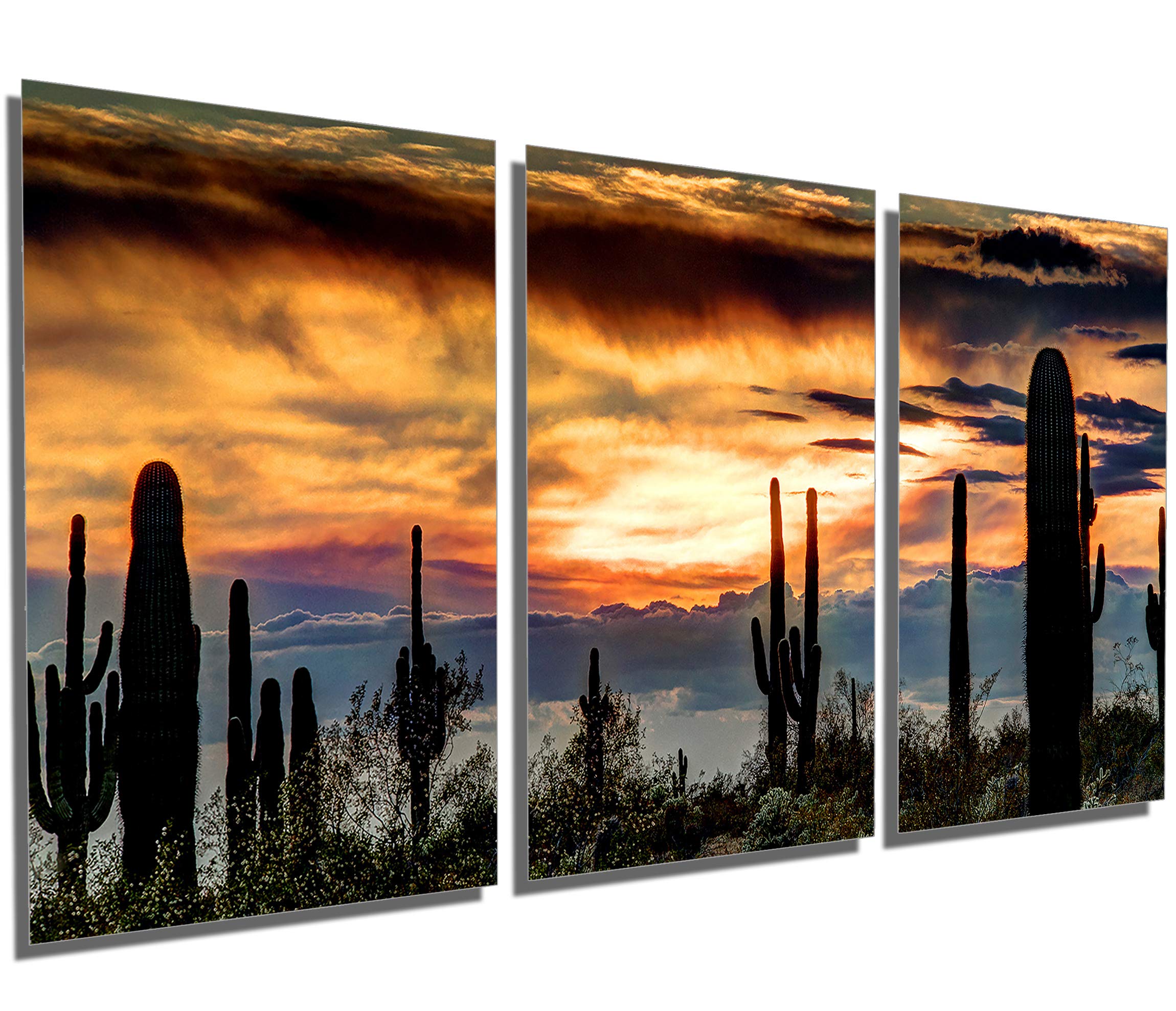 Amazon.com: Canvas Quest 48 x 24 TOTAL - Sonoran Desert, Arizona