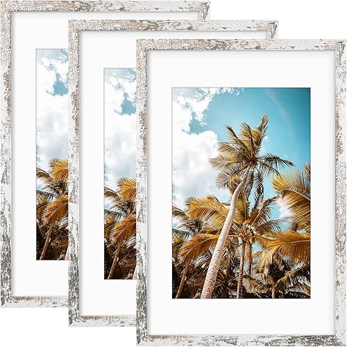 Vista 303 de Frametory, Portarretratos negro de 16 x 20 pulgadas, para fotos de 11 x 14 pulgadas con paspartú, molduras anchas (16 x 20 pulgadas, negro)