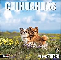 Vista 61 de RED EMBER Calendario de pared 2025 con diseño de cachorros de 12 meses, 12 x 24 pulgadas, abierto, papel grueso y resistente, para regalo