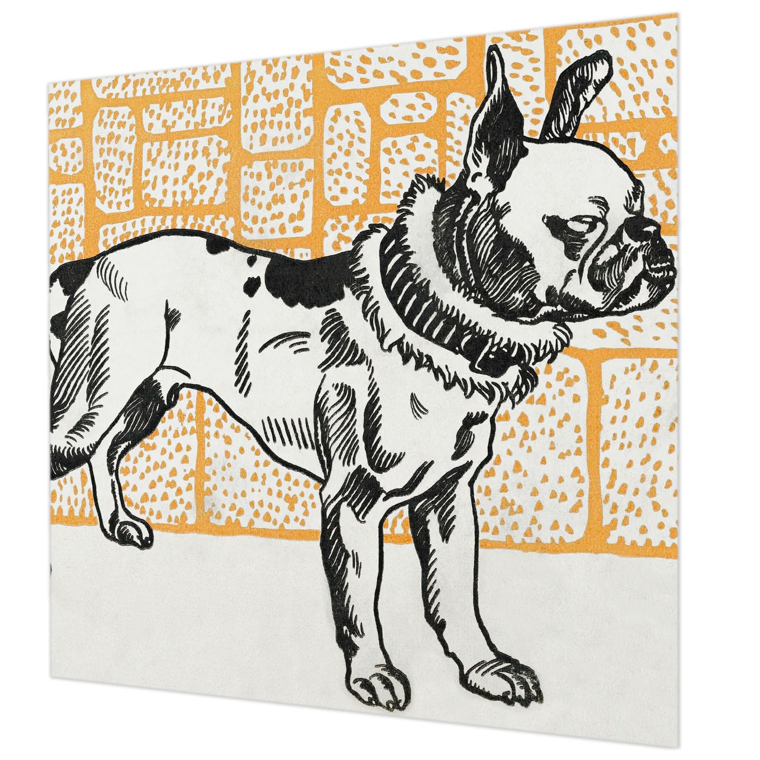 Papier peint décoratif 250x250 cm colle incluse pose murale facile