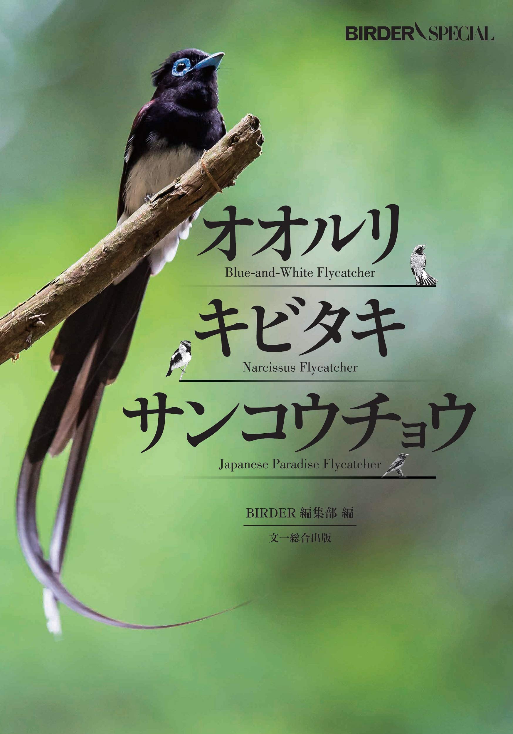 ざくろとブリキの鳥 ざくろとブリキの鳥