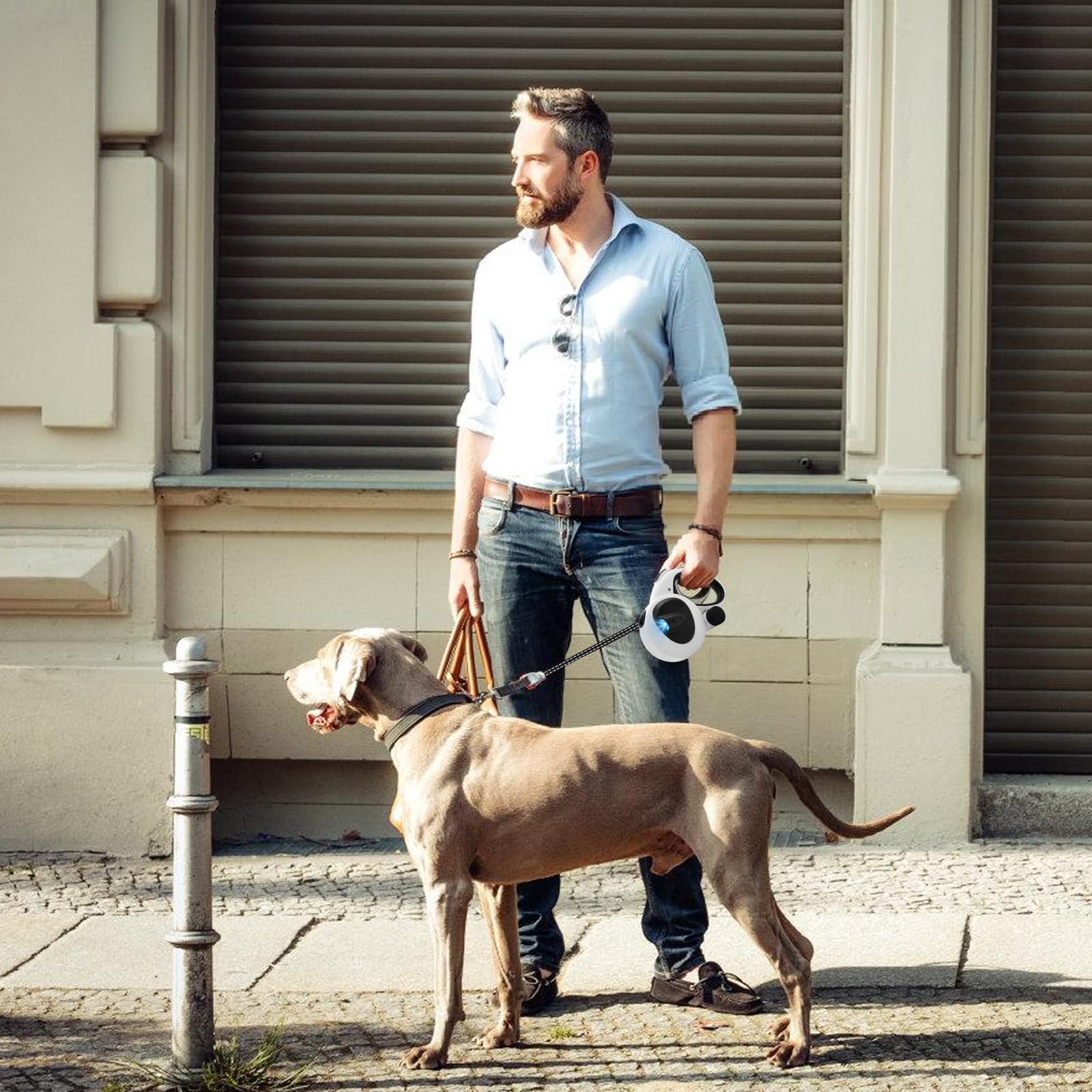 Guinzaglio retrattile per cani, 5 m, con luce a LED, senza grovigli, impugnatura antiscivolo, per cani di piccola e media taglia