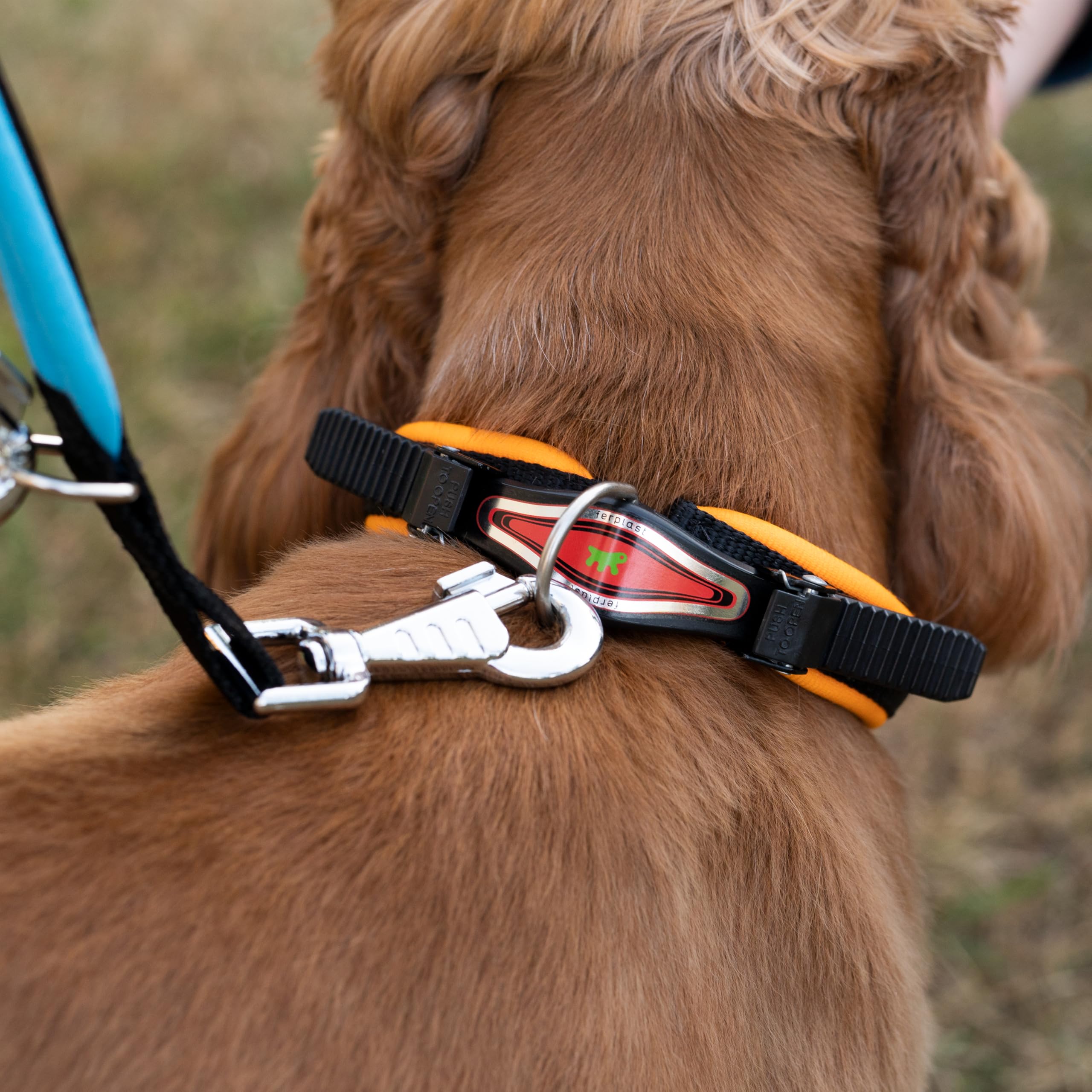 Ferplast ERGOFLUO GA Training Dog Lead, 3 Adjustable Lengths, Soft Padded Handle, Anti-Abrasion, Italian Design, 200 x 2 cm - Image 4