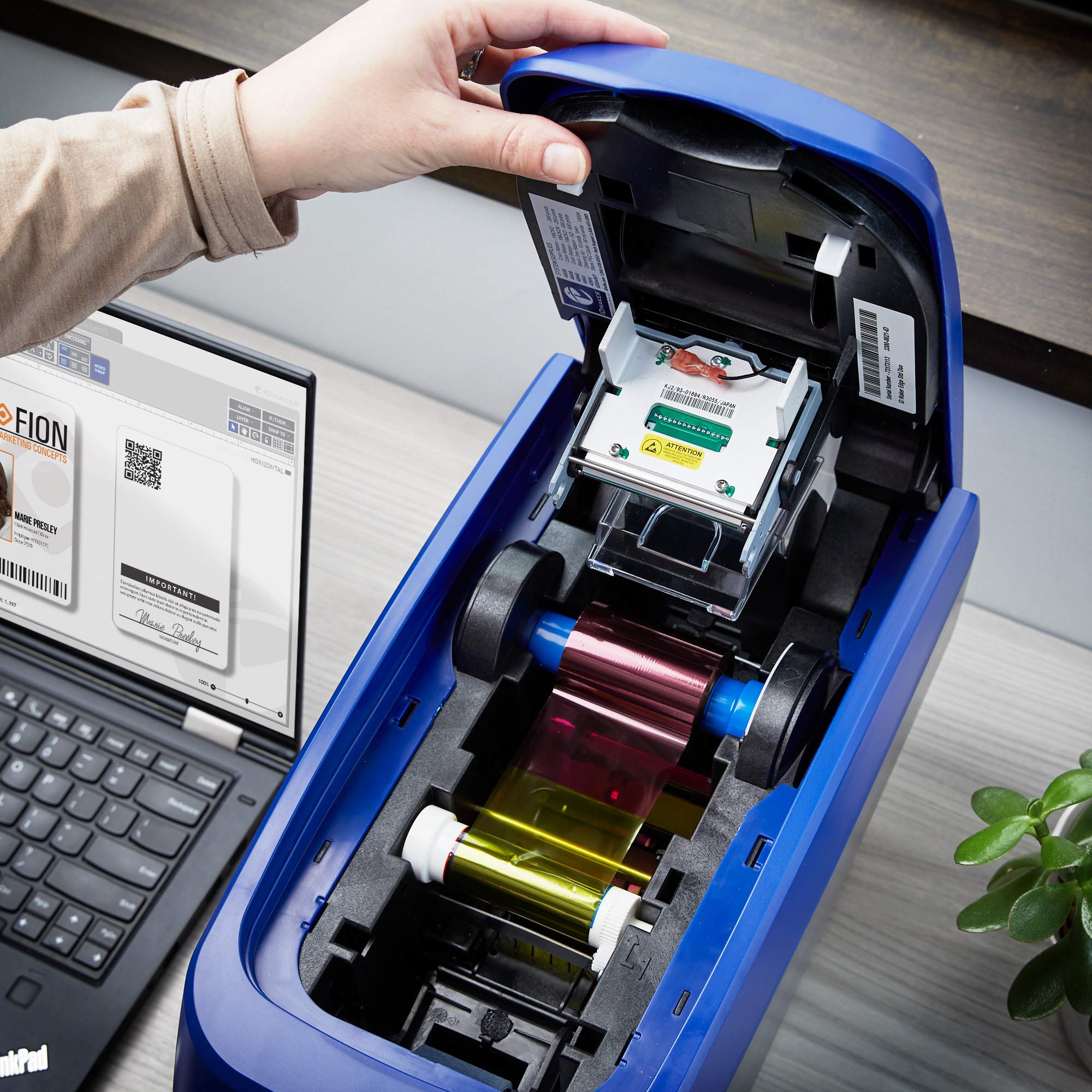 ID Maker - Cinta para impresora de borde - YMCKO 300 Prints