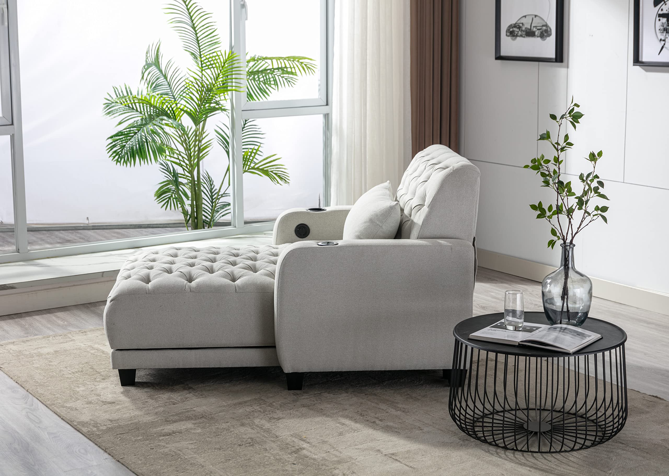 Amazon.com: Living Room Leisure Sofa/Barry Sofa : Home & Kitchen