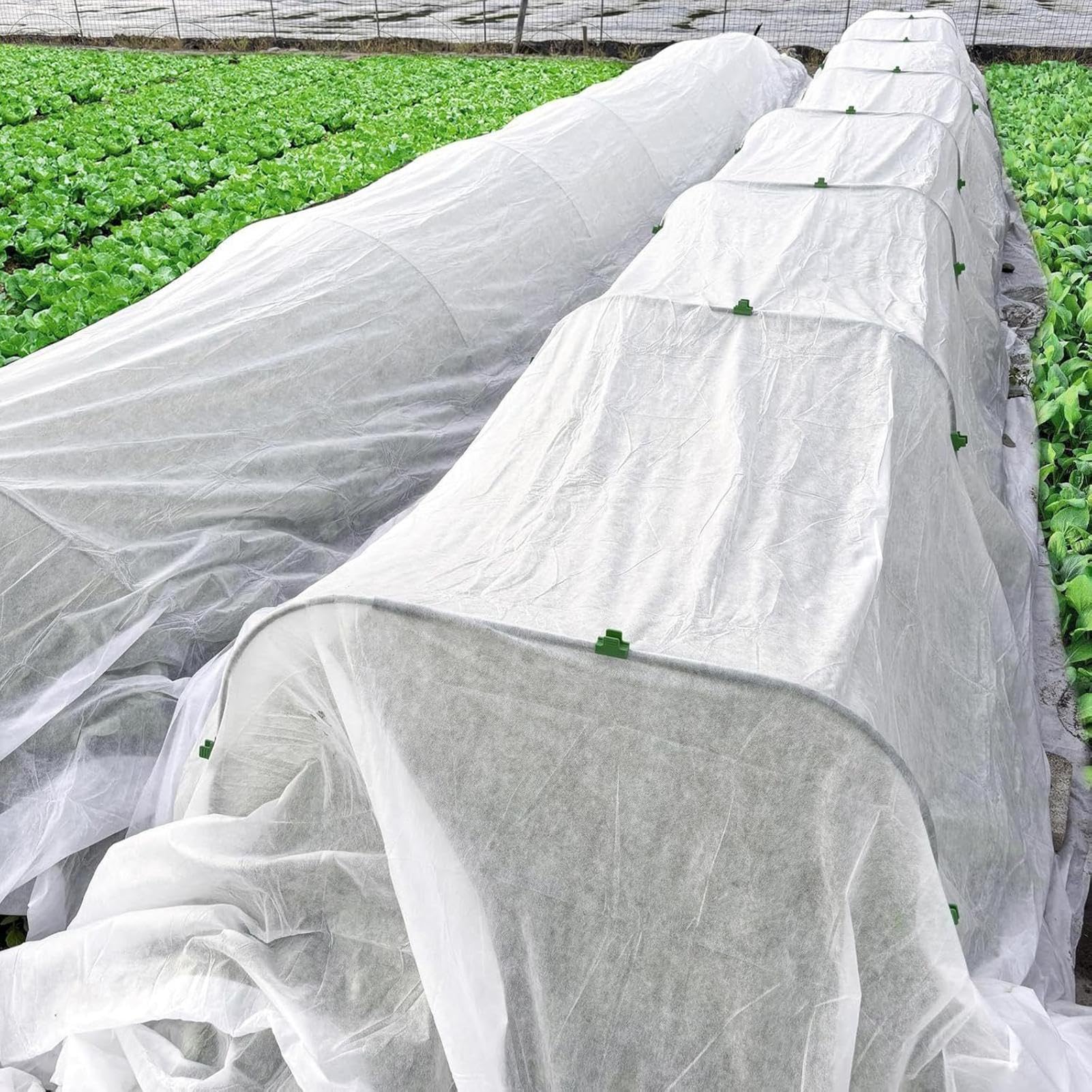 Voiles d'Hivernage pour d'Extérieur Tissu De Couverture Protection